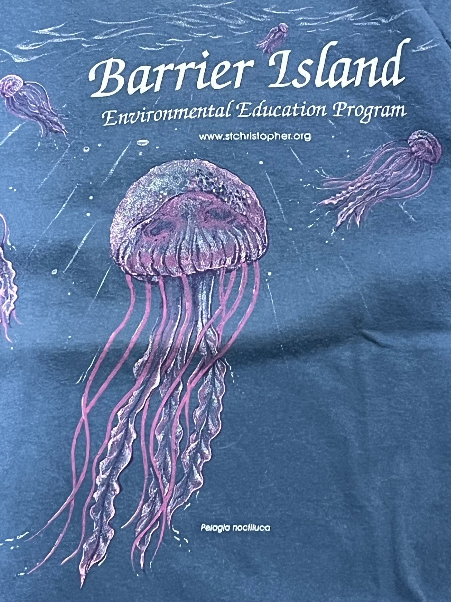 Jellyfish T-shirt. S