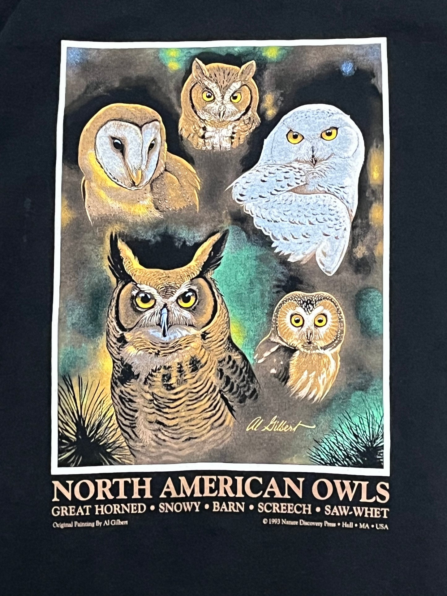 Owl Nature T-shirt. L