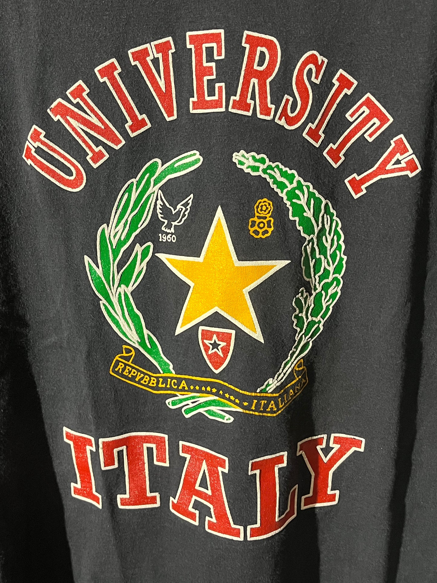 University Italy T-shirt. (L)