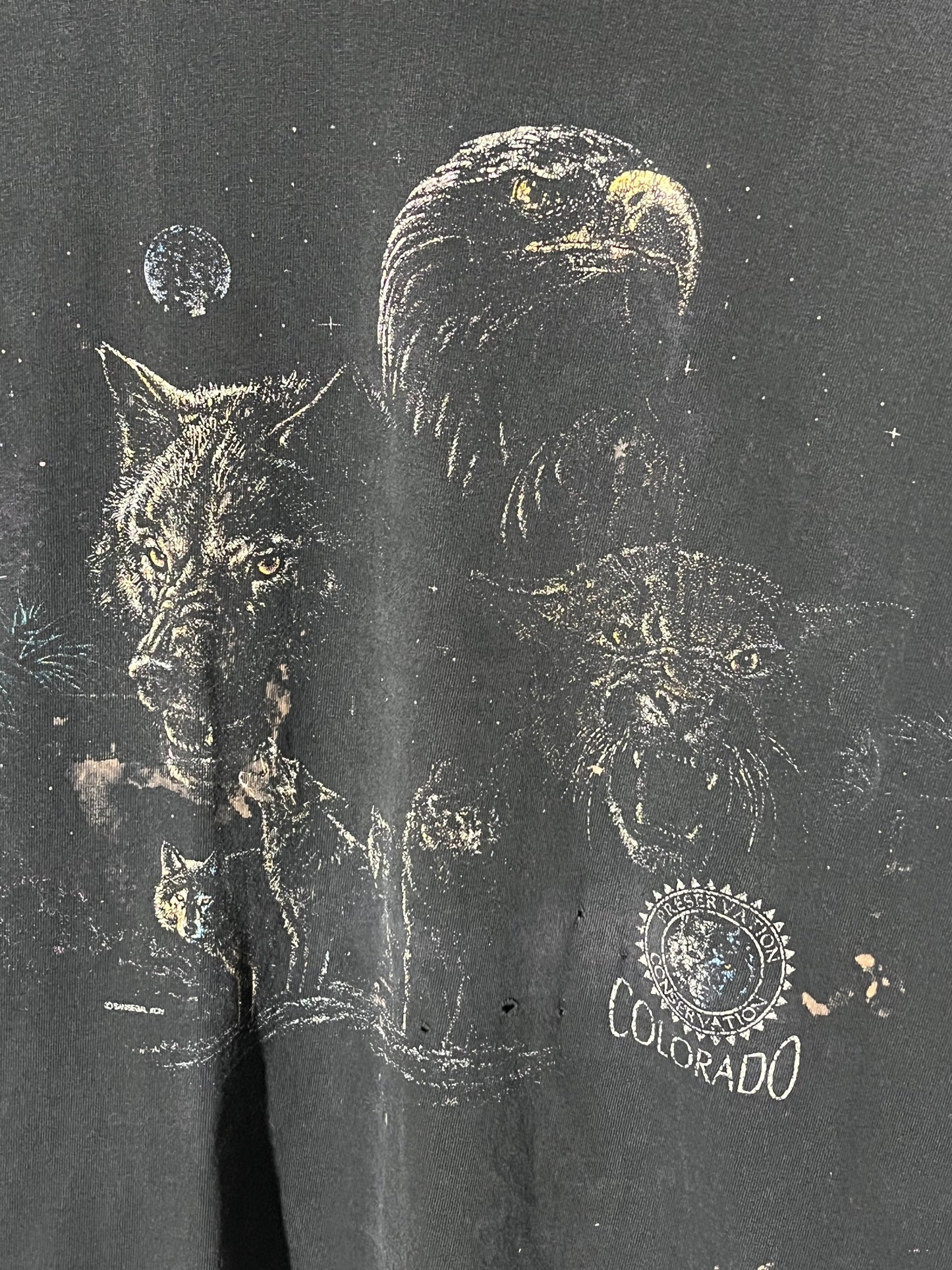 90s Colorado Nature T-shirt. (L)