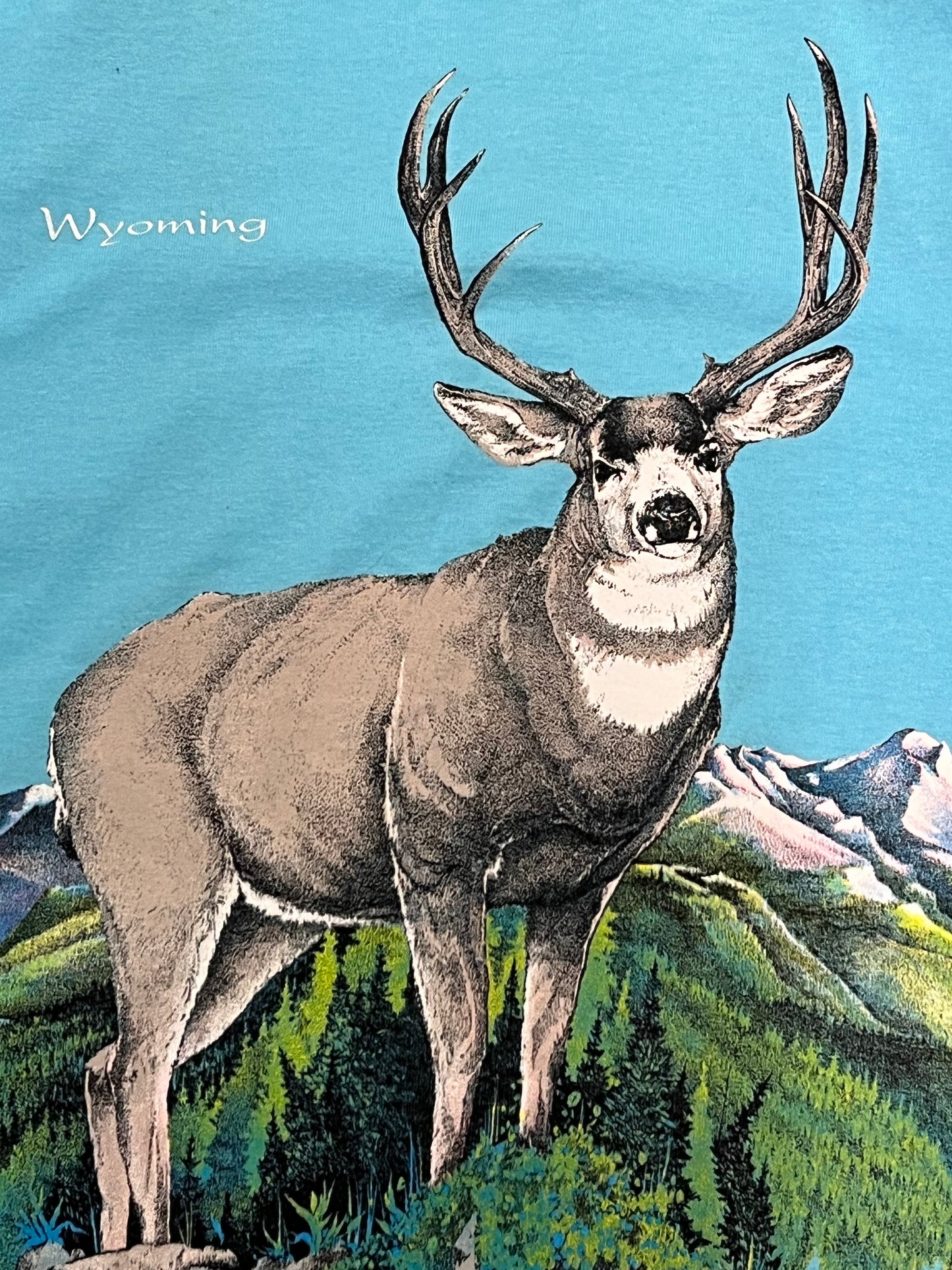 Wyoming Nature T-shirt. M